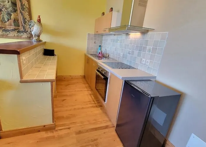 Domaine Rey Loft Appartement Loubersan